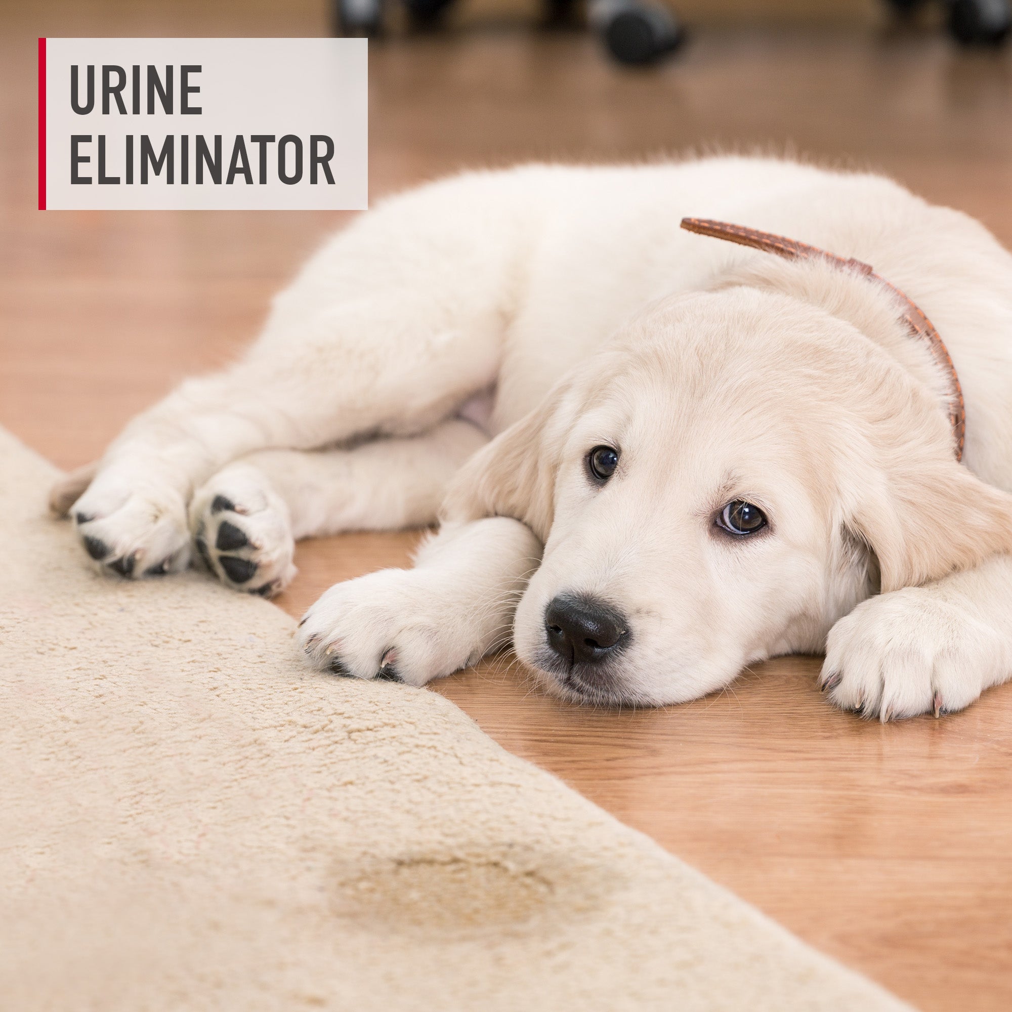 Paws And Claws Urine Eliminator 22 oz. - Image 5